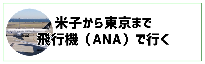 米子から東京まで飛行機（ANA）で行く